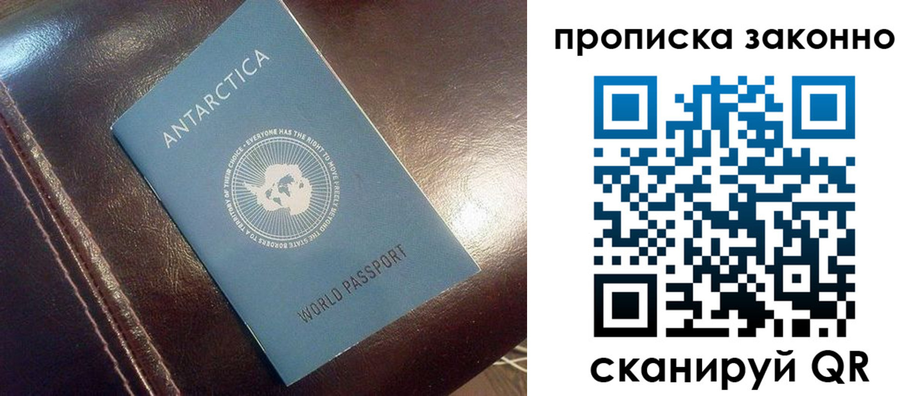 прописка в квартире в Мурманской области